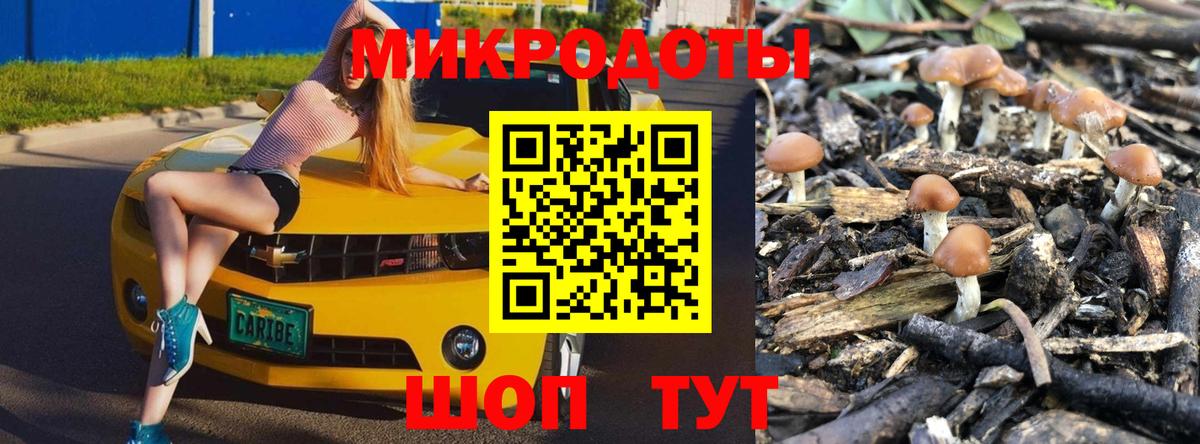Галлюциногенные грибы MAGIC MUSHROOMS  Вход с VPN  Переславль-Залесский  Галлюциногенные грибы Magic Shrooms 
